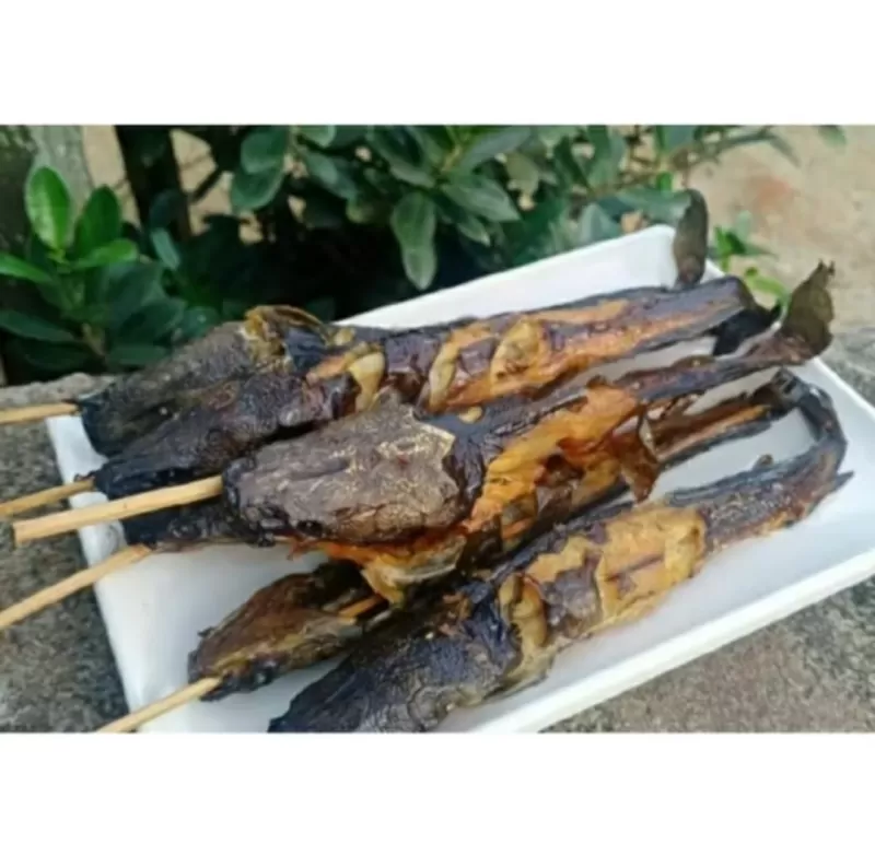 Lele Asap isi 3/4 ekor